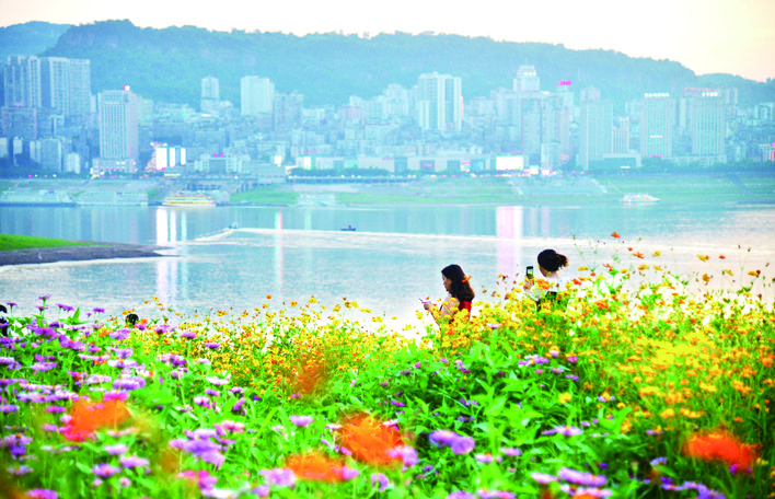 7月10日 万州区南滨公园白鹭湾 市民徜徉花海中 休闲旅游 精品万州 触屏版